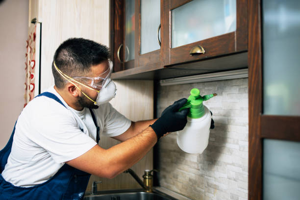 Best Mosquito Control Services  in Coldwater, OH