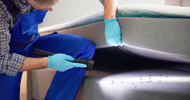 Best Affordable Pest Control Services  in Coldwater, OH