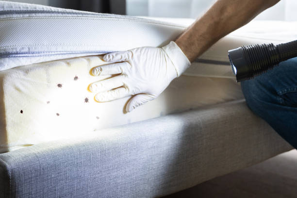 Best Best Pest Control Companies  in Coldwater, OH