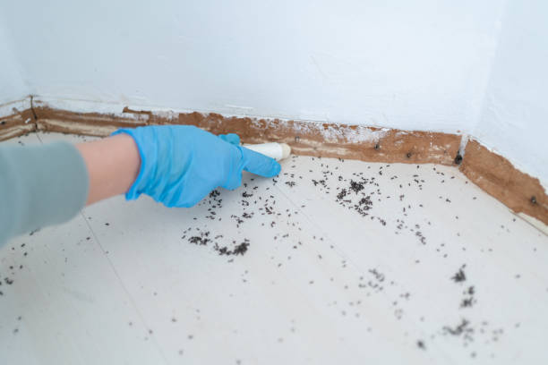 Best Pest Inspection Near Me  in Coldwater, OH