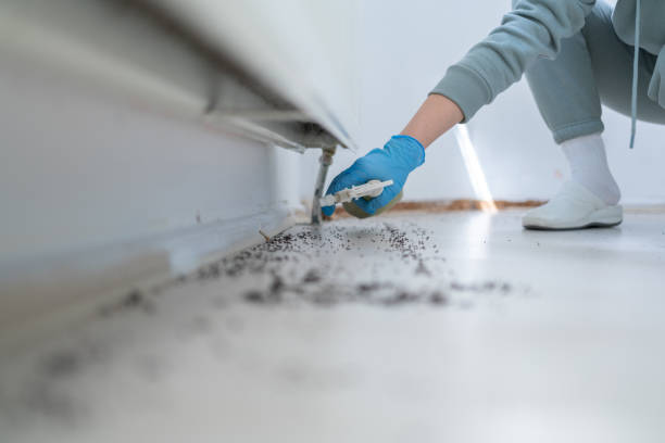 Best Wildlife Control Services  in Coldwater, OH